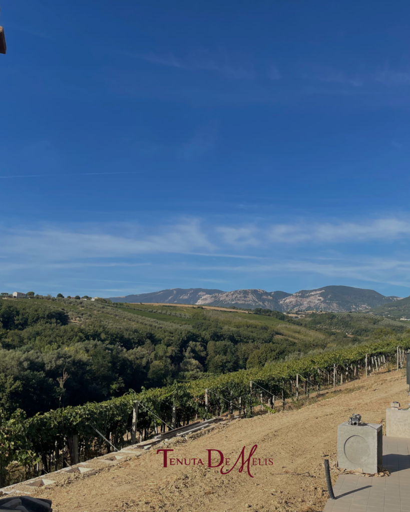 04_09 (2)
