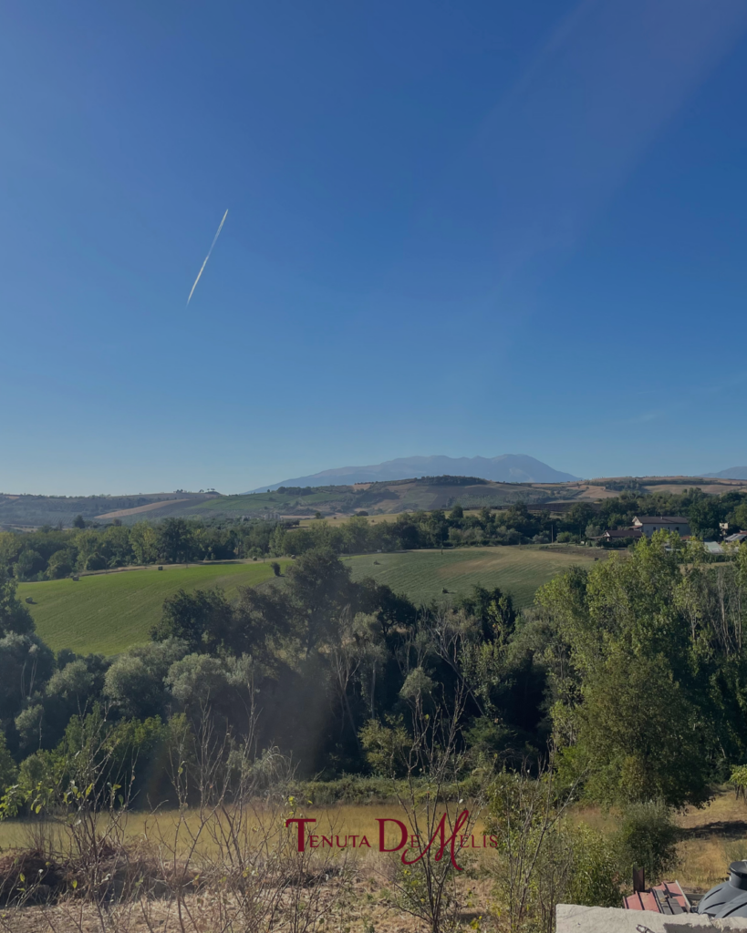 04_09 (3)