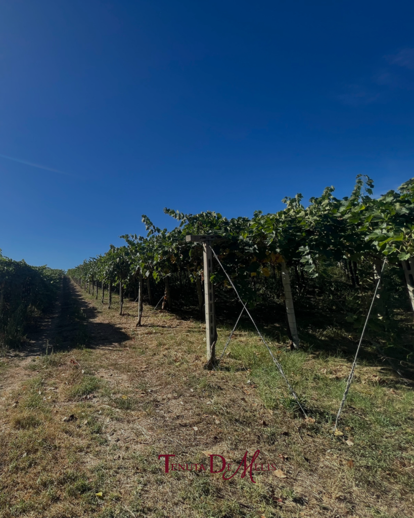 04_09 (4)